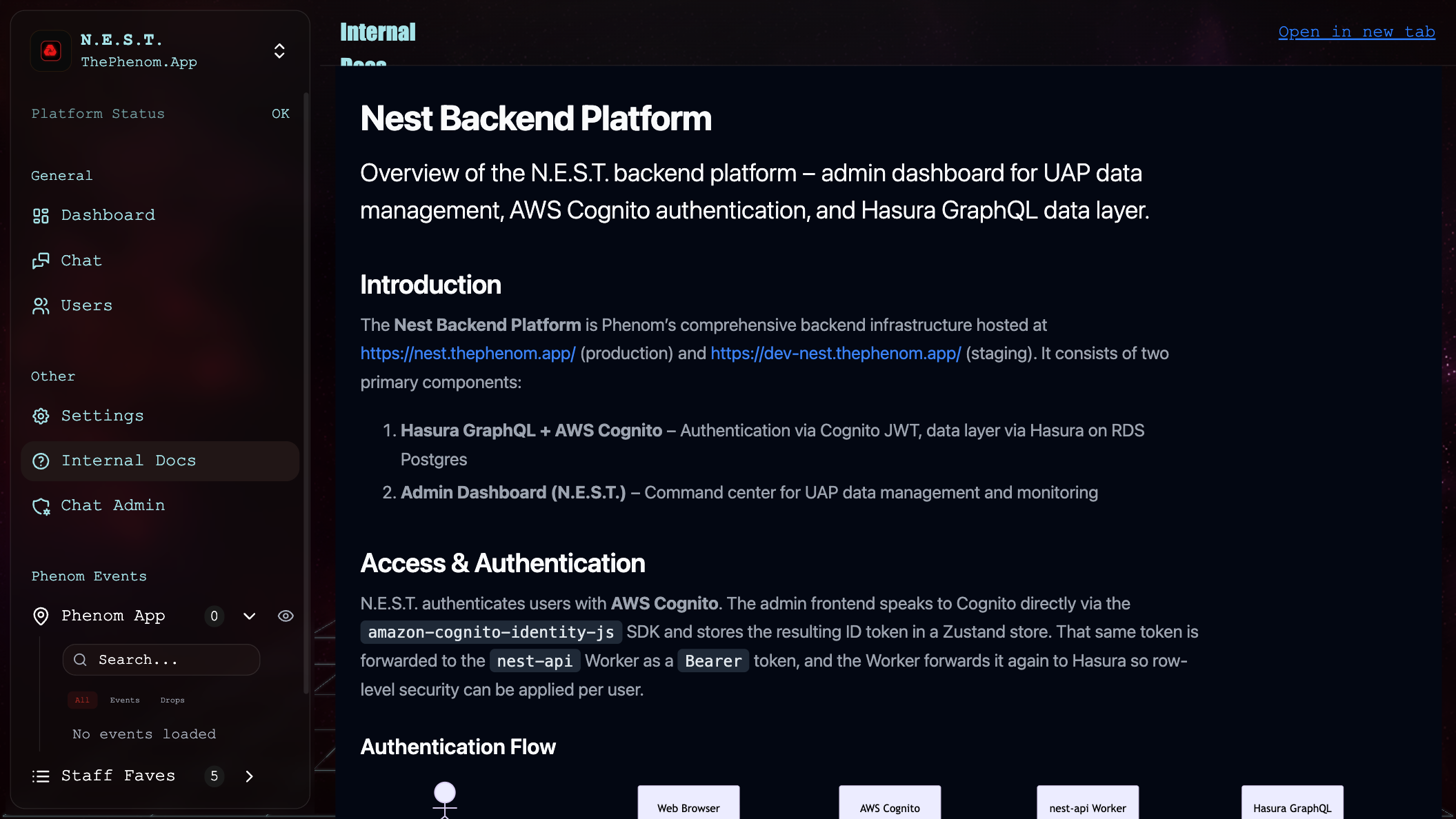 Internal Docs: the embedded int-docs site with an “Open in new tab” link